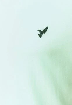 Réduction Pier One T-shirt basique t-shirts col rond homme 22 Réduction Pier One T-shirt basique t-shirts col rond homme -Promos Pier One Boutique aa75eabb00fe4d03a62c6a634ae2c33e